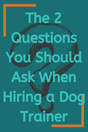 The two questions you should ask when hiring a dog trainer